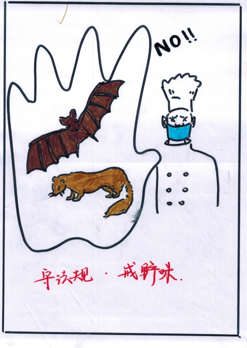 守法规 拒野味 守法规 拒野味