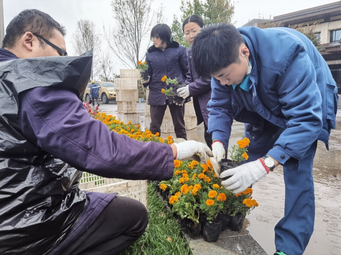 摆放花卉