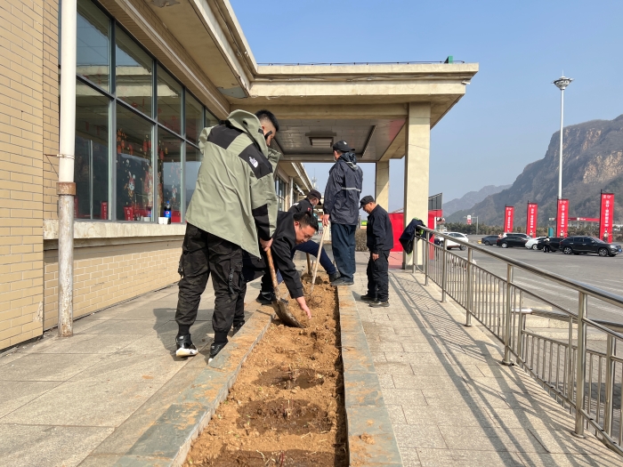 绿植播种 绿植播种