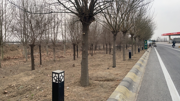 微信图片_20240321172008 微信图片_20240321172008