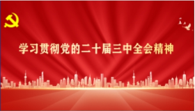 学习贯彻党的二十届三中全会精神