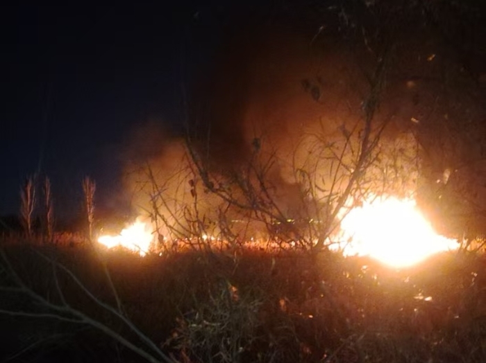 14325d81719bcb567a930cea4980dac6