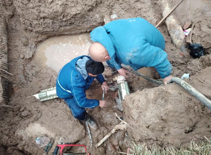 b23abe0d9dfd29f07137473559a40552