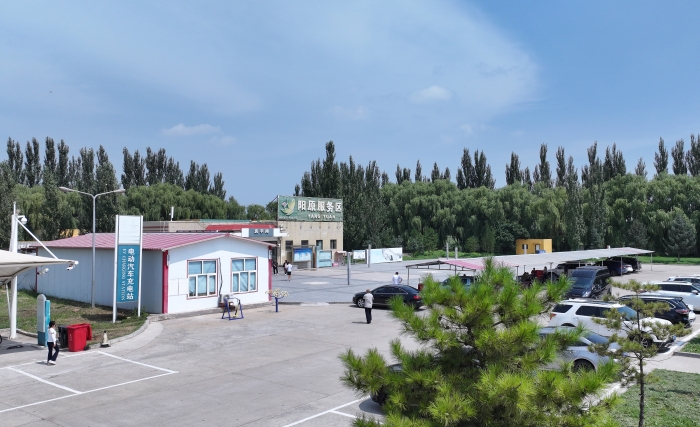 阳原